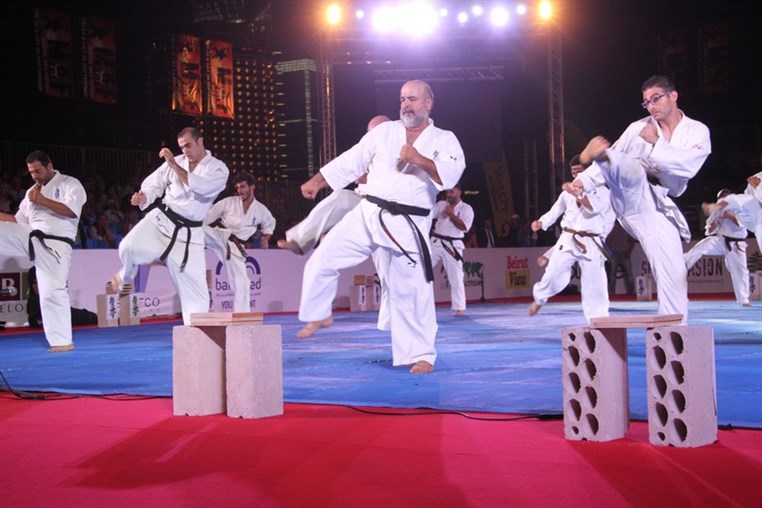 Martial Arts Festival